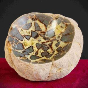 Septarian Nodule Bowl