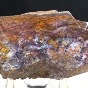 Rainbow Stromatolite (RS1)