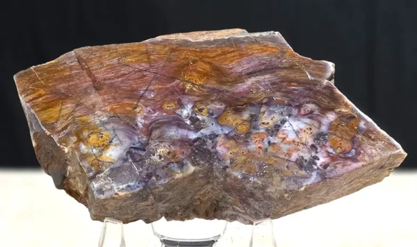 Rainbow Stromatolite (RS1)