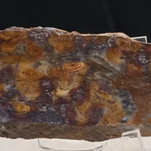 Rainbow Stromatolite (RS2)