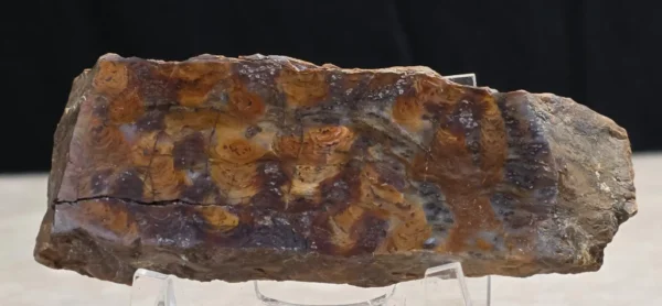 Rainbow Stromatolite (RS2)