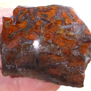 Rainbow Stromatolite (RS3)