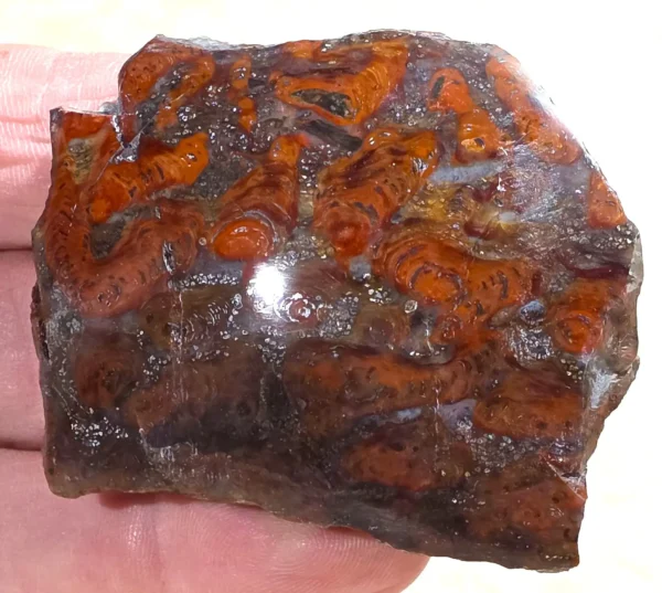 Rainbow Stromatolite (RS3)