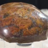 Rainbow Stromatolite (RS4)