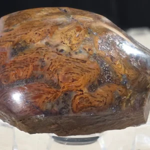 Rainbow Stromatolite (RS4)