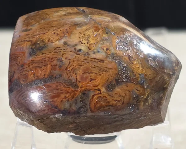 Rainbow Stromatolite (RS4)