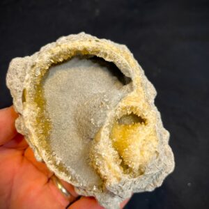 Crystalized Welks (W2)