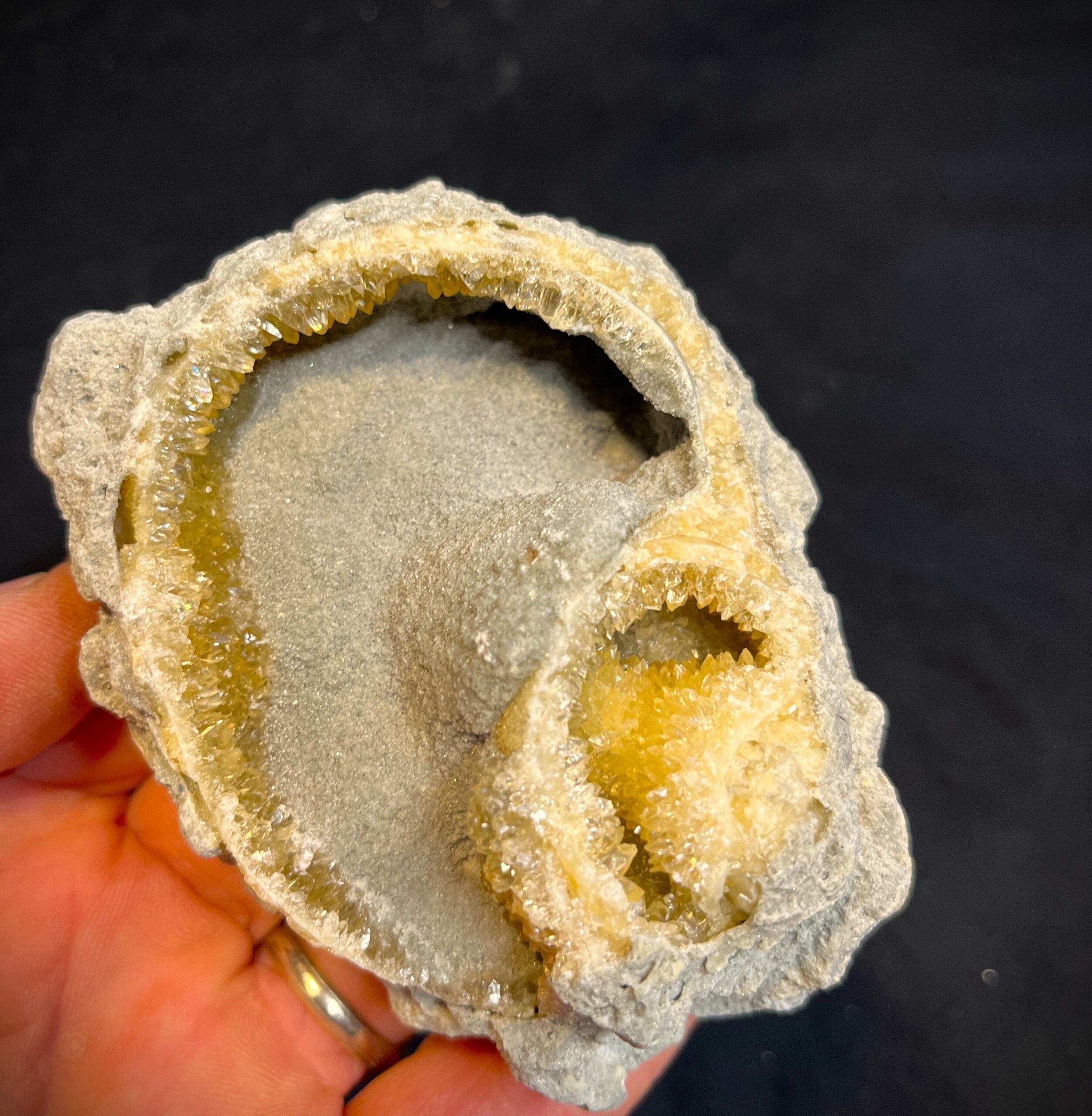 Crystalized Welks (W2)