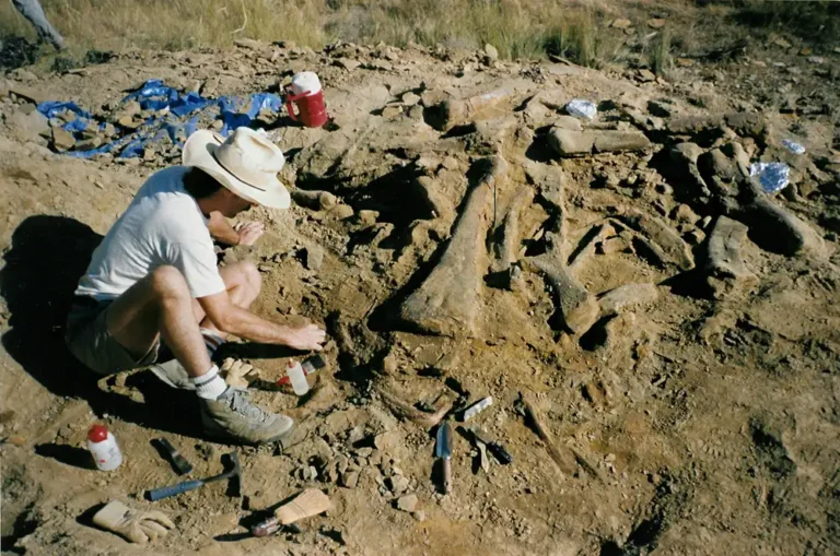 Dinosaur Bone Bed