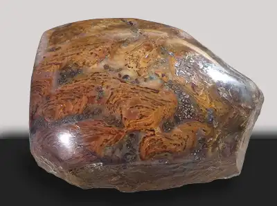 Gunflint Iron Rainbow Stromatolite