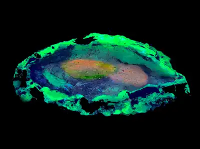 Volcanic Bomb