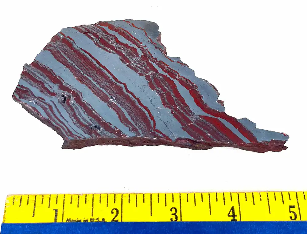 BIF6b