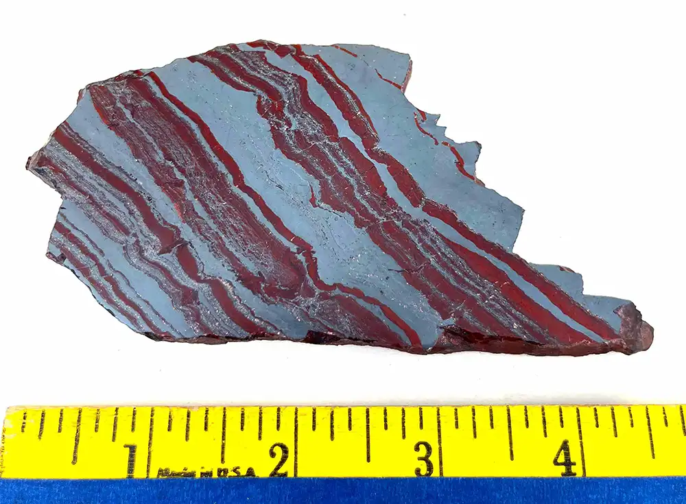 BIF7b
