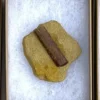 Dinosaur Bone (D23)