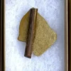 Dinosaur Bone (D24)