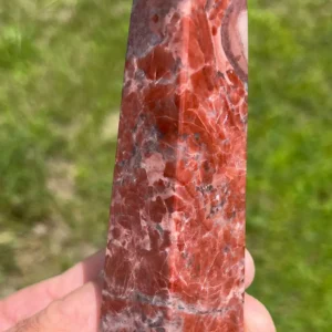 Kona Dolomite (KONA25)