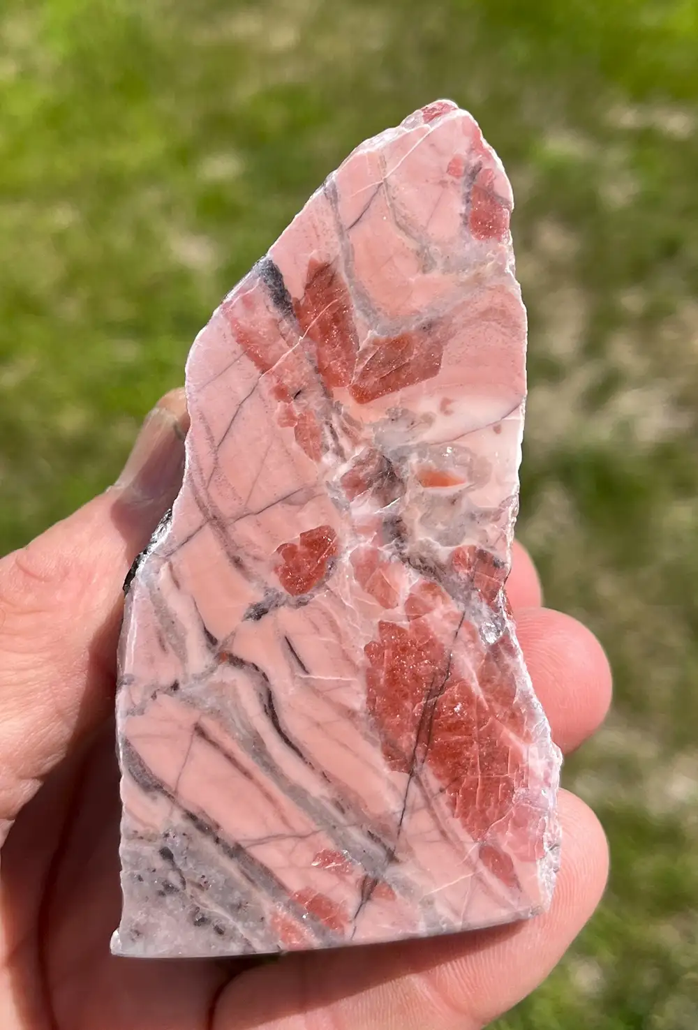 Kona Dolomite (KONA35)