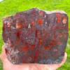 Iron Stromatolites (ME10)
