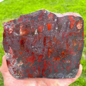 Iron Stromatolites (ME10)