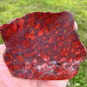 Iron Stromatolites (ME11)