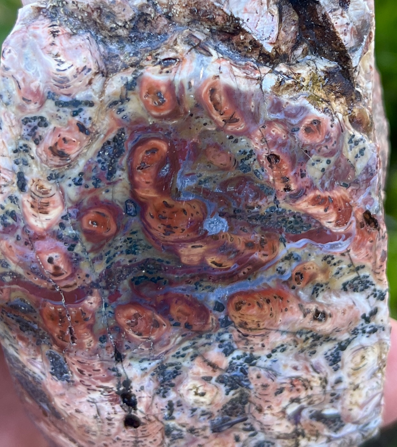 Gunflint Chert (GIS21)