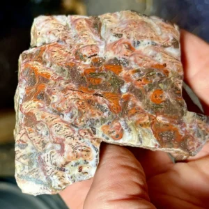Gunflint Iron Fm Rainbow Stromatolite (GIS15) (Copy)