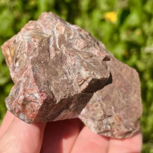 Gunflint Iron Fm Rainbow Stromatolite (GIS15)