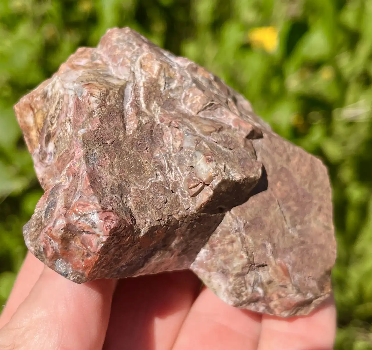 Gunflint Iron Fm Rainbow Stromatolite (GIS15)