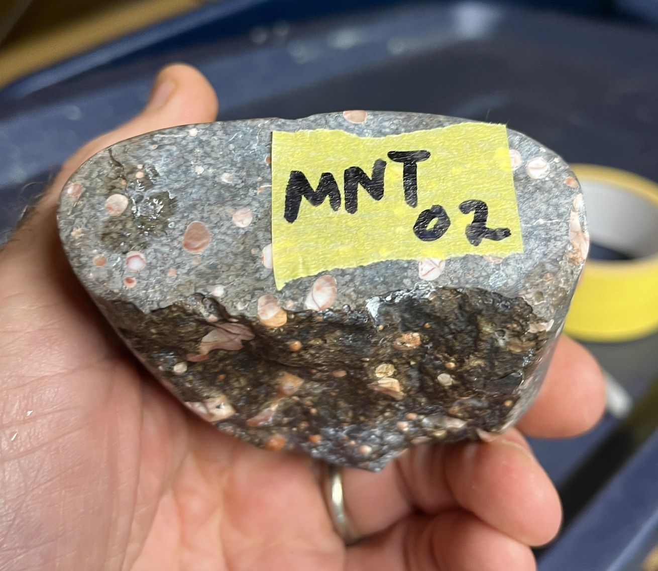 MNT 02g