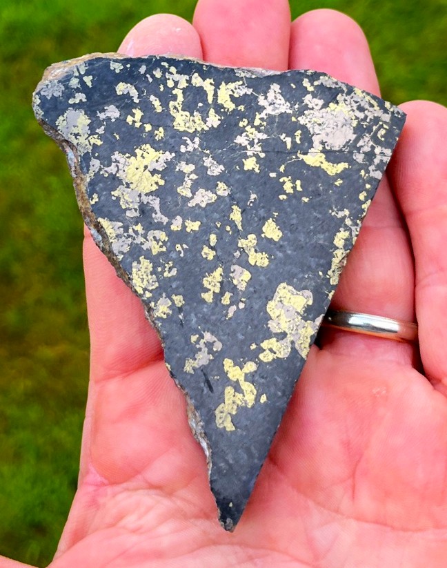 Sudbury Impactite (SUD11)