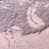 Grypania Spiralis (GRY7)