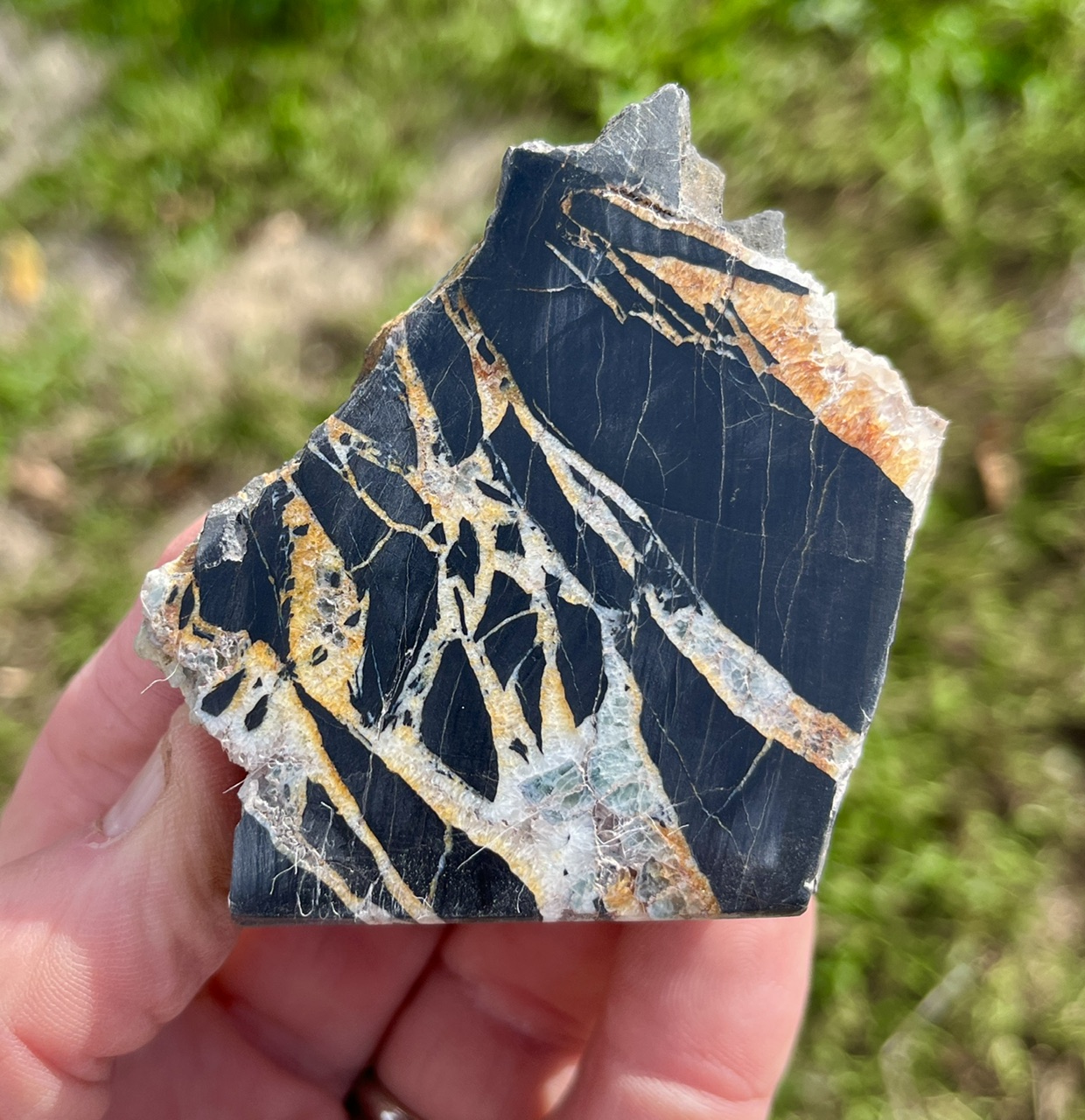 North American Rift (RIFT1)