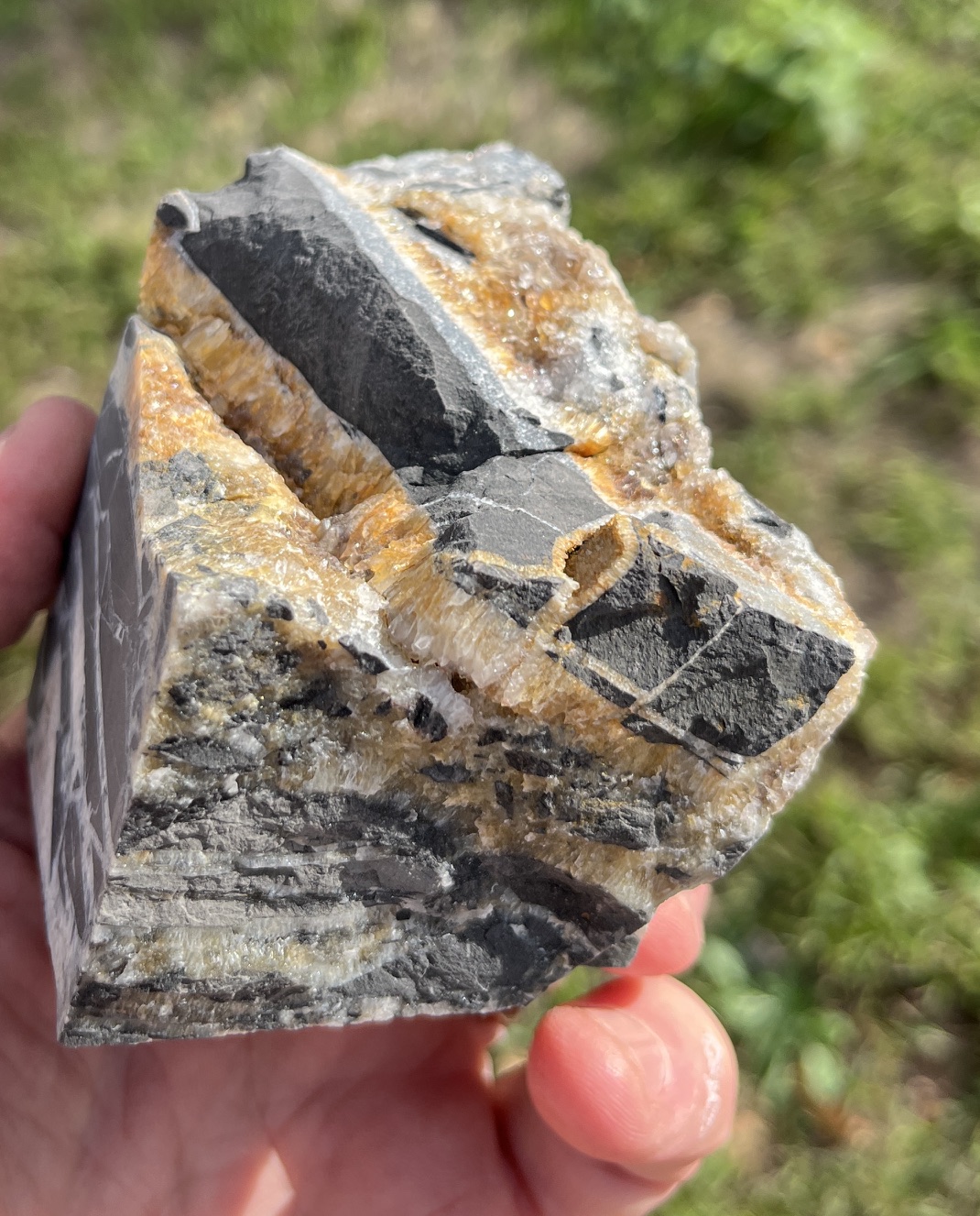 North American Rift (RIFT2)