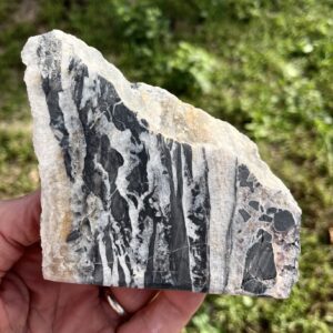 North American Rift (RIFT3)