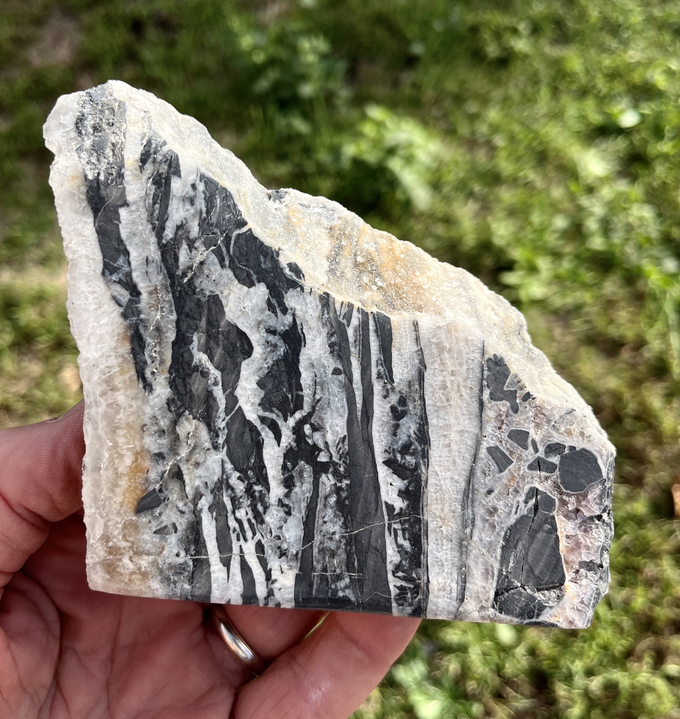 North American Rift (RIFT3)