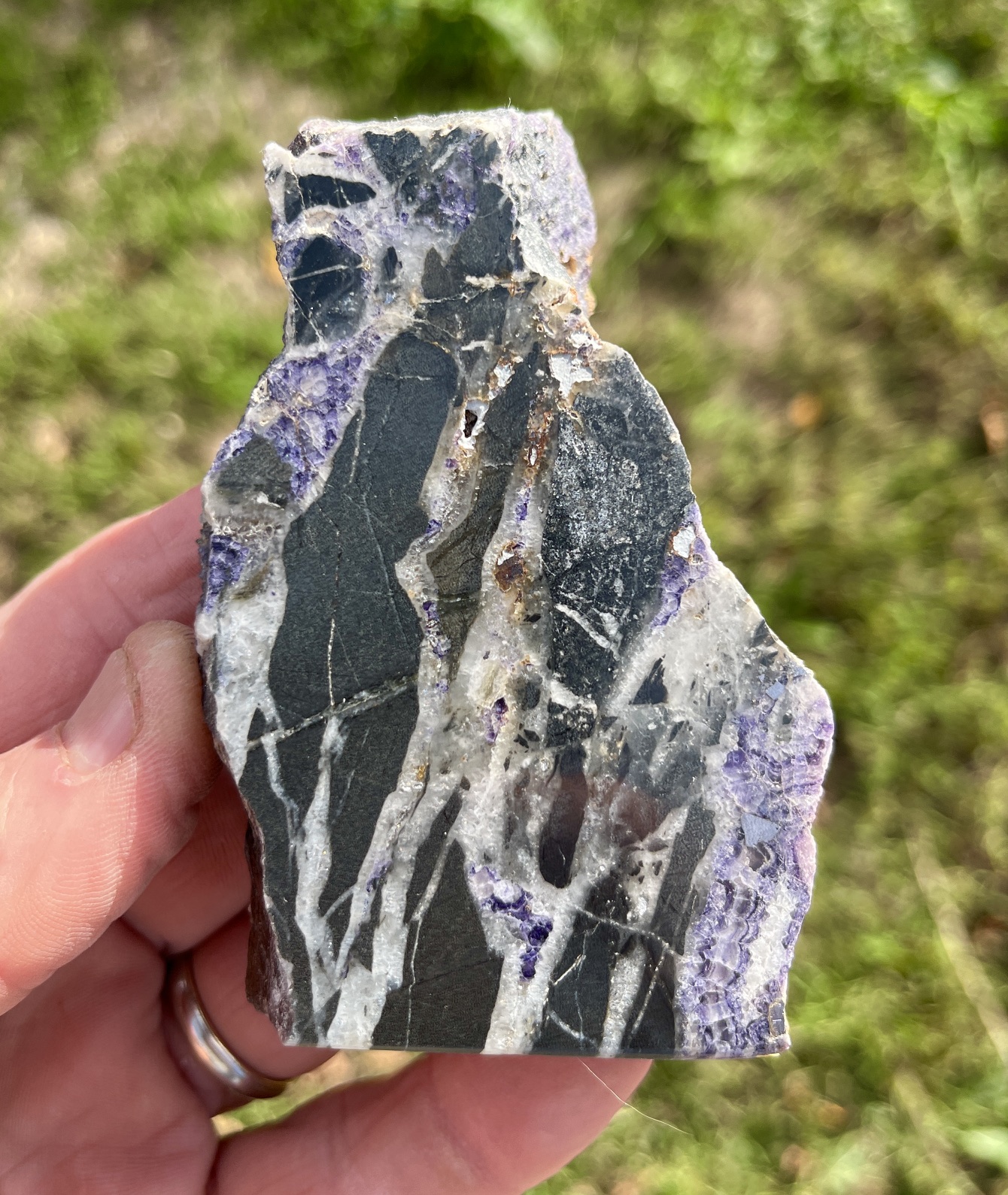 North American Rift (RIFT4)