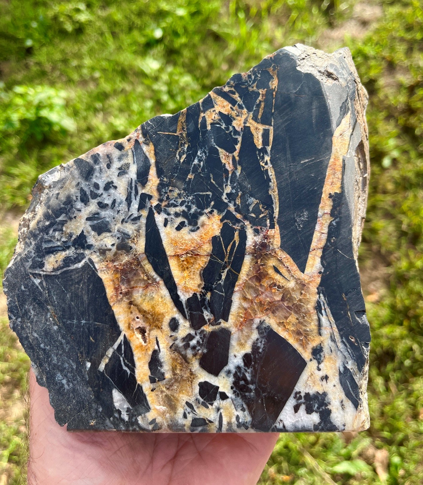 North American Rift (RIFT5)