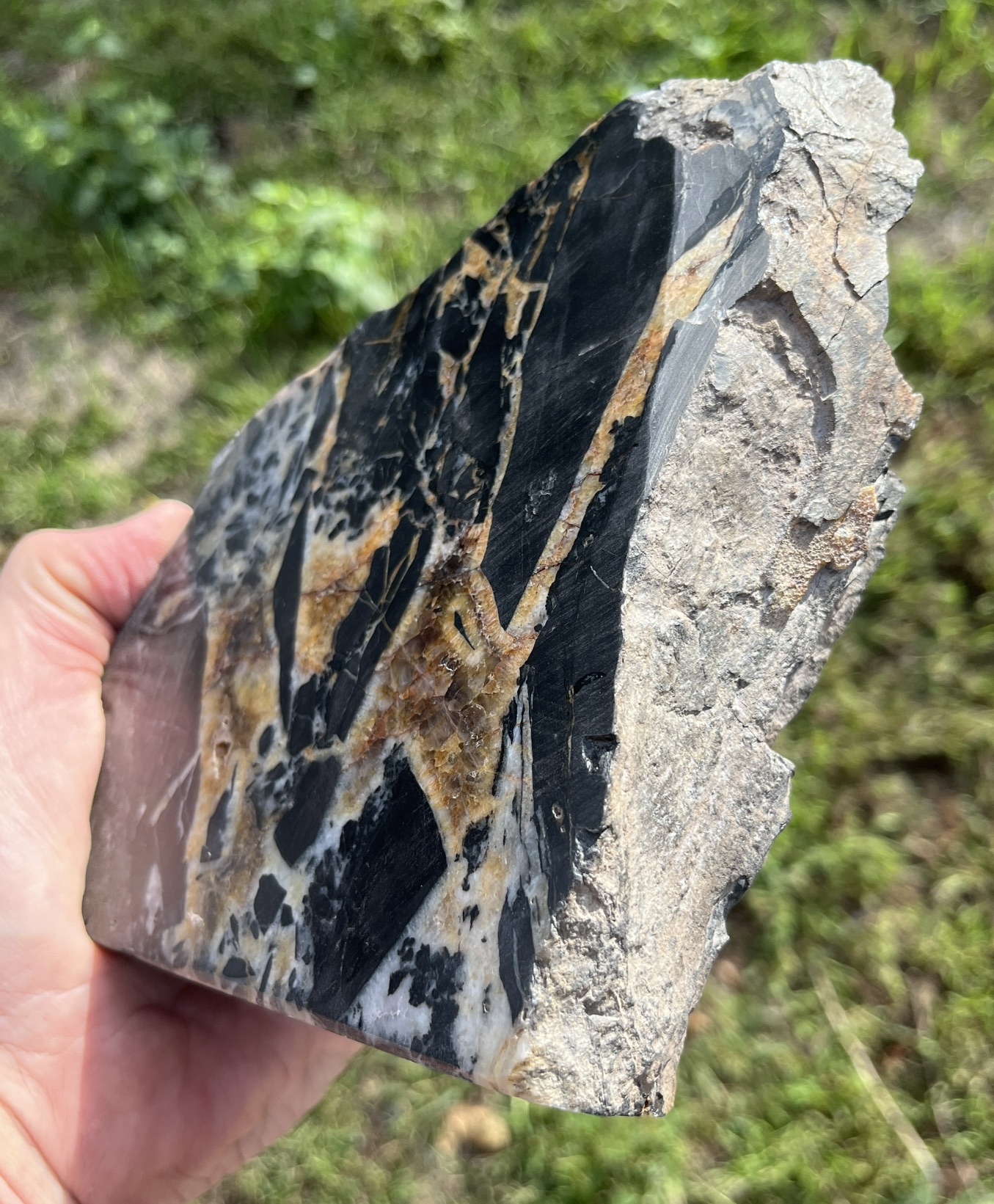 RIFT5b