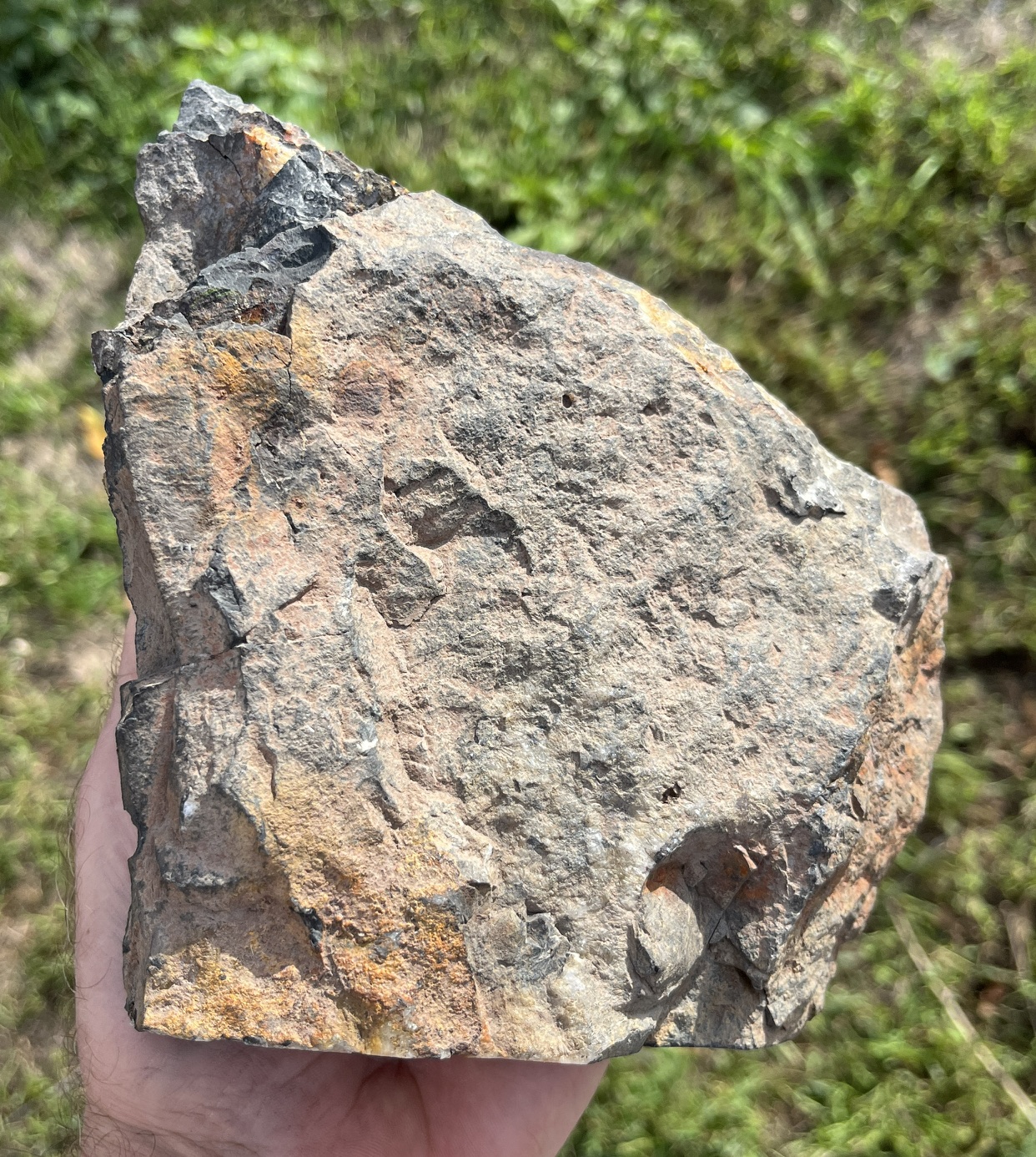 RIFT5c