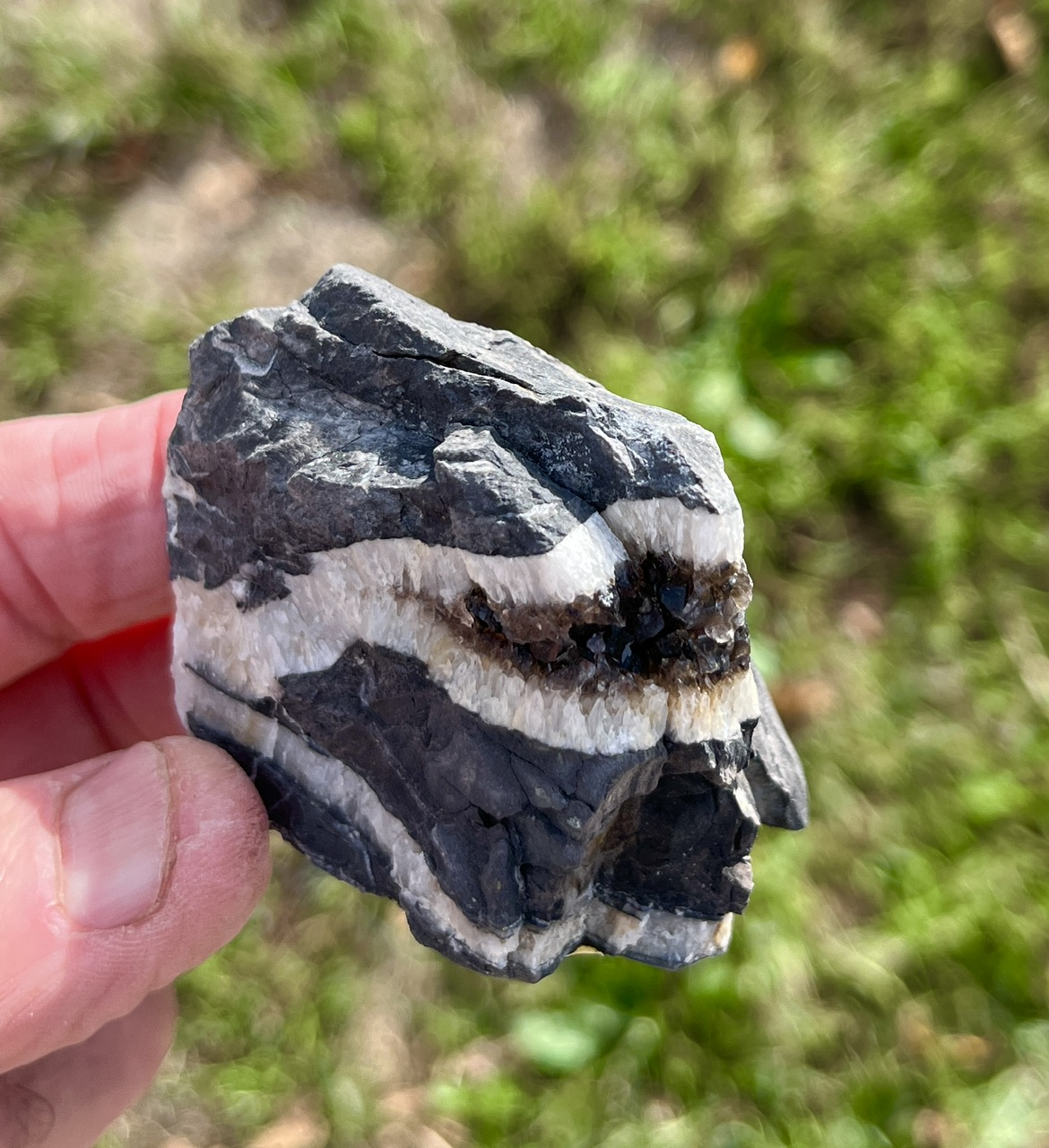 North American Rift (RIFT6)