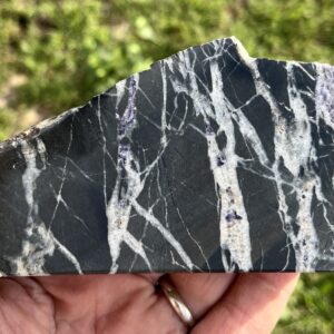 North American Rift (RIFT7)