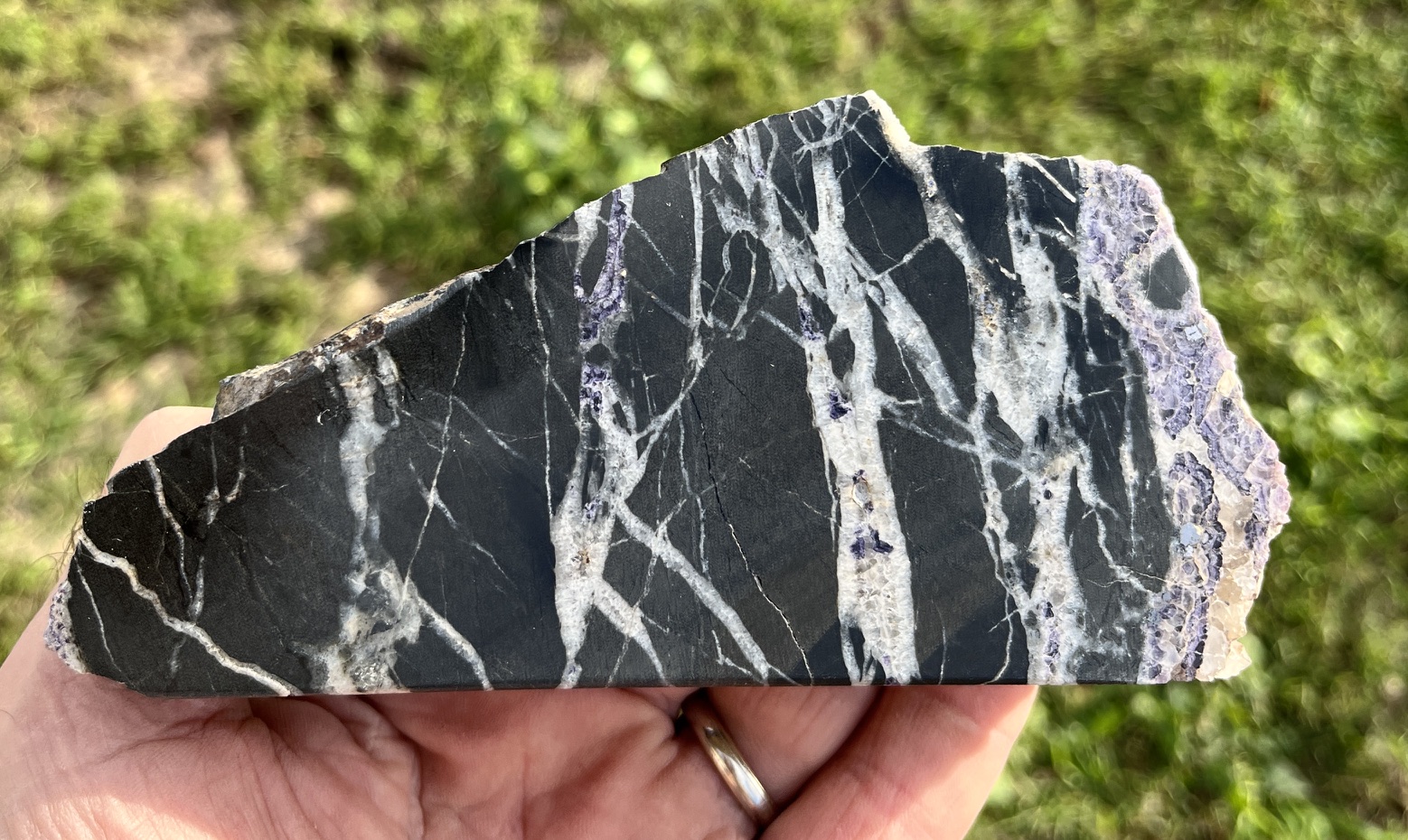 North American Rift (RIFT7)