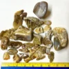 Agatized Coral Pack (ACPAK1)