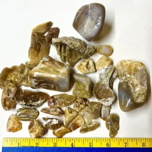 Agatized Coral Pack (ACPAK1)