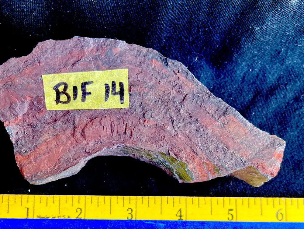 bif14e