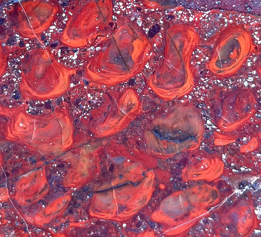 Iron Stromatolites (ME16)