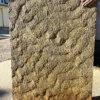 Microbially Induced Sedimentary Structure (MISS01)
