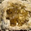 Crystalized Clam (OK13)
