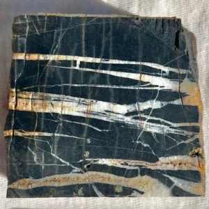North American Rift (RIFT102)