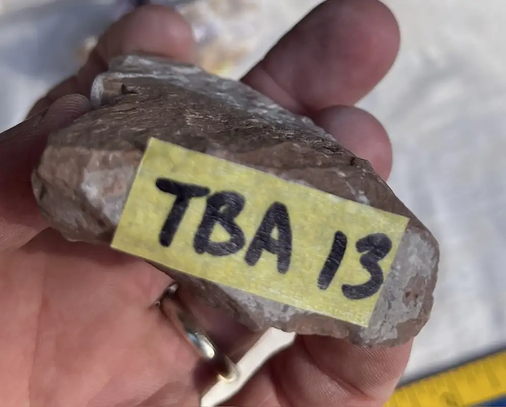 tba 13f